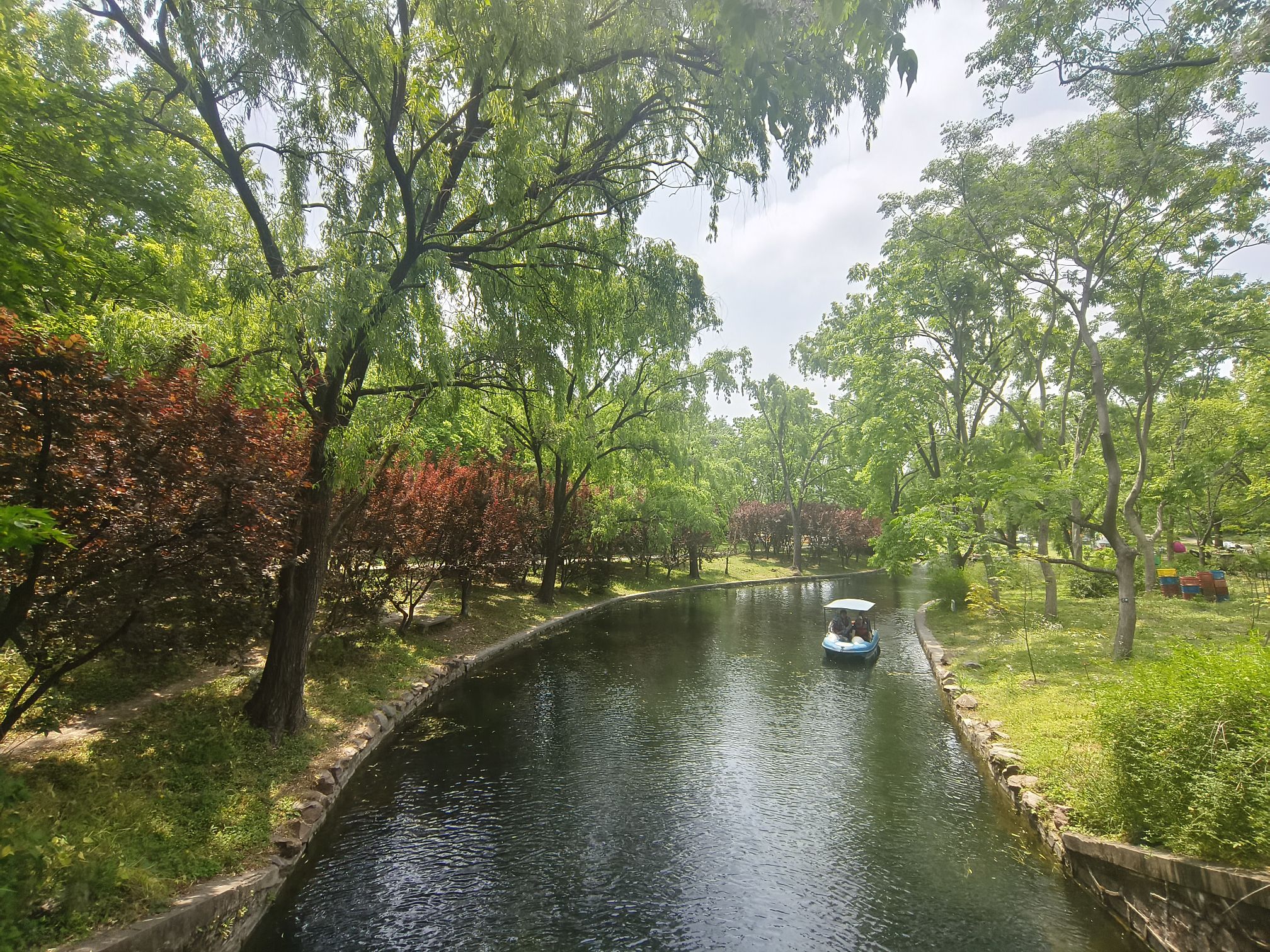 上海共青森林公园旅行图片 1