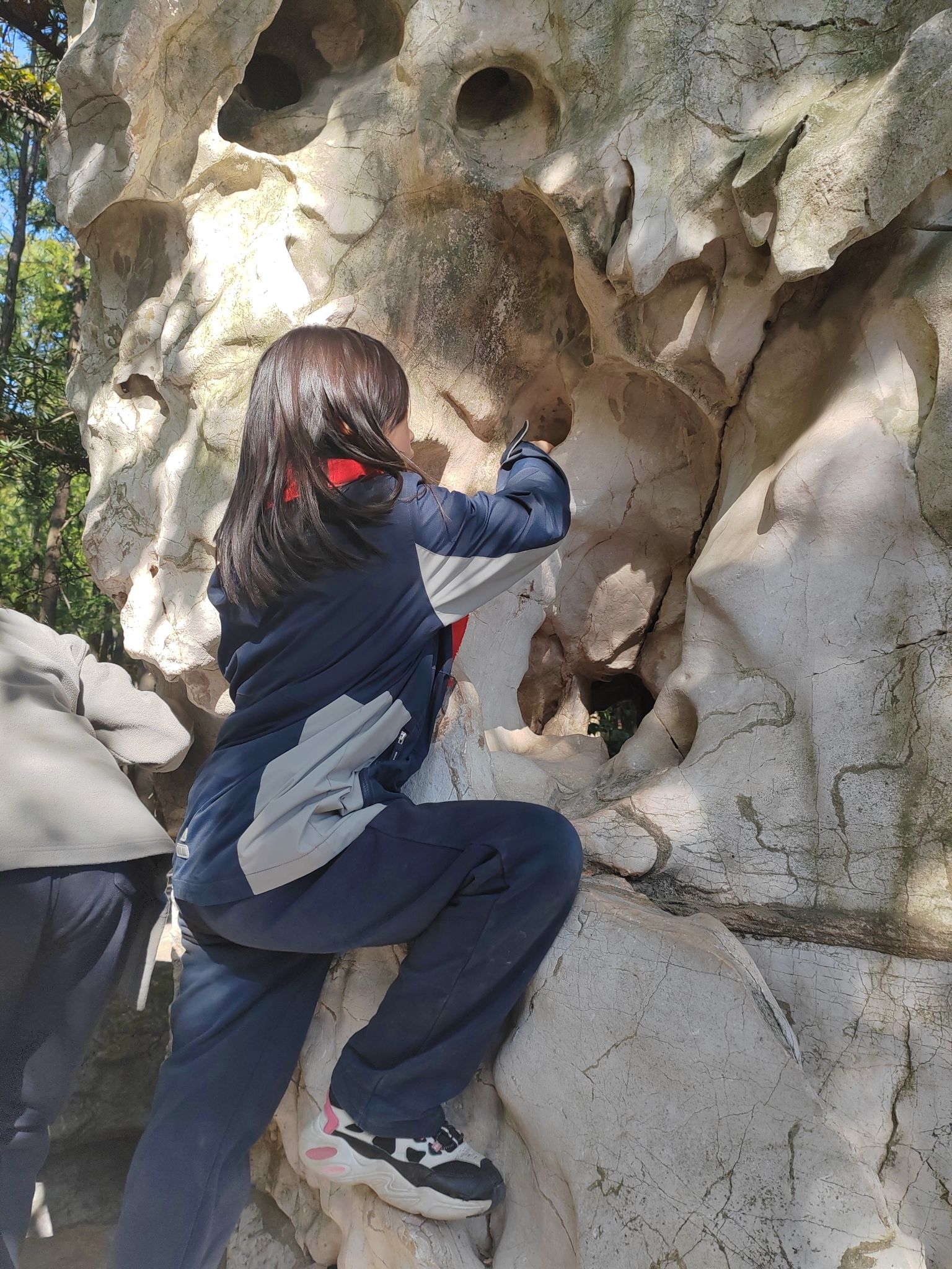 上海共青森林公园旅行图片 3