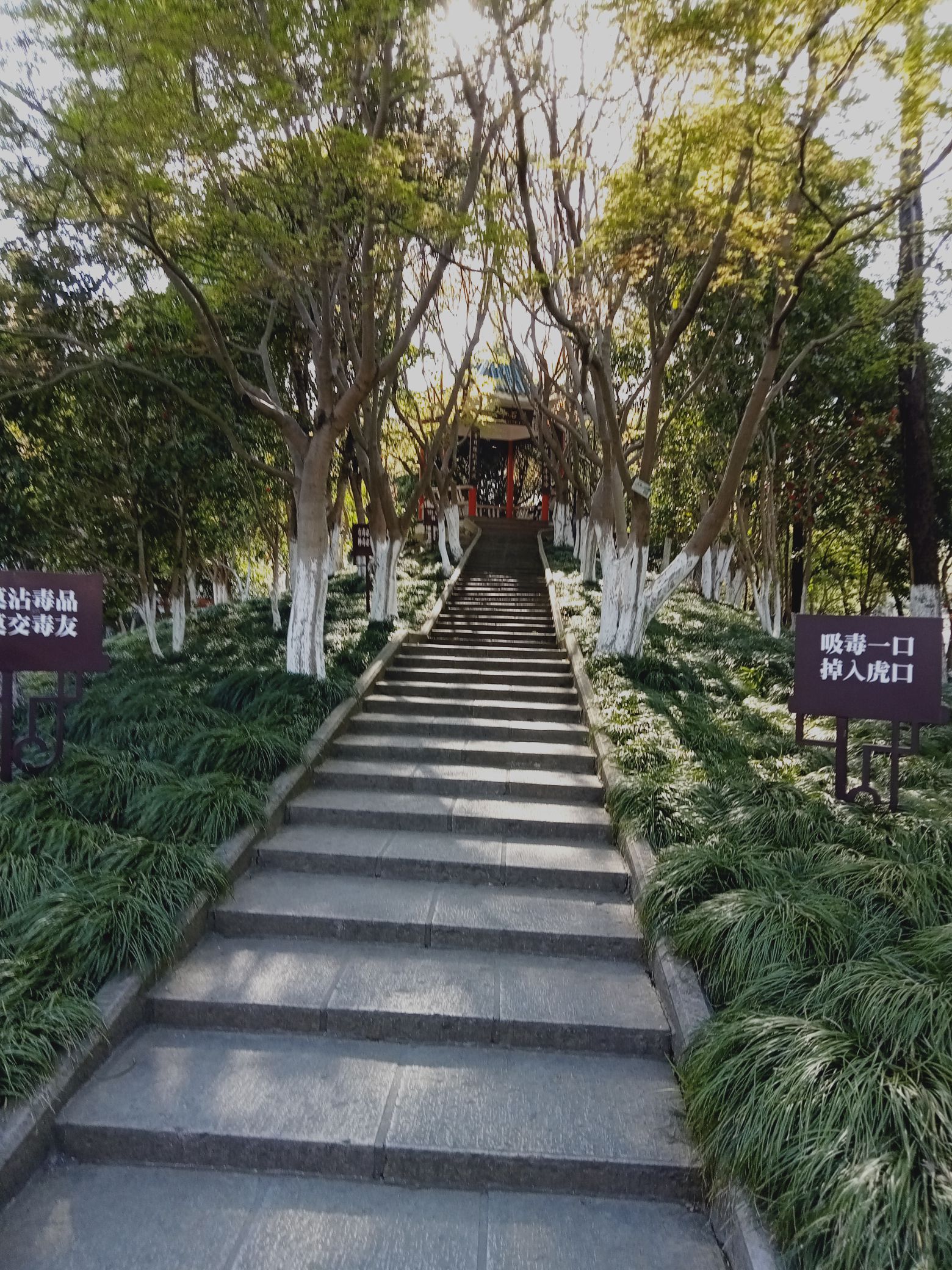 望春园旅行图片 2