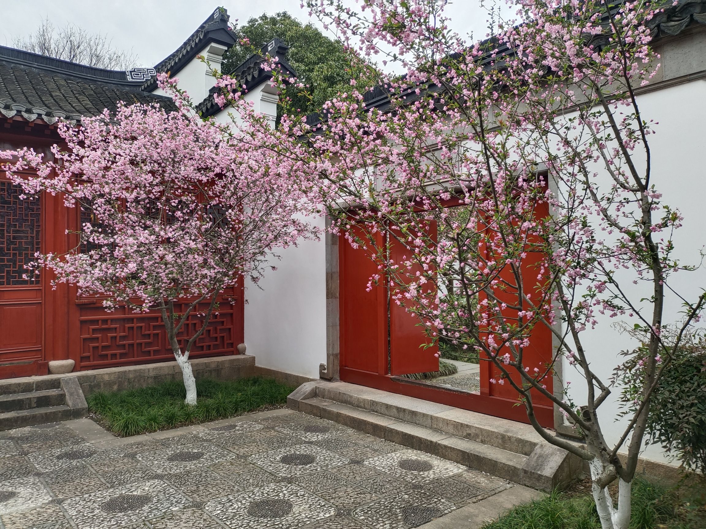 上海大观园旅行图片 2
