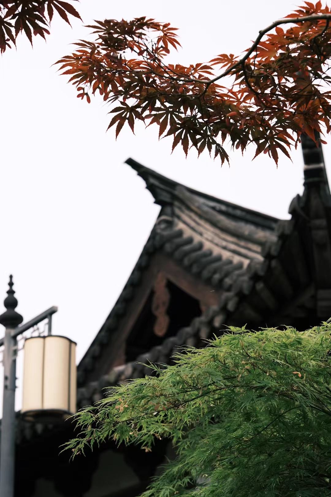 上海方塔园旅行图片 2