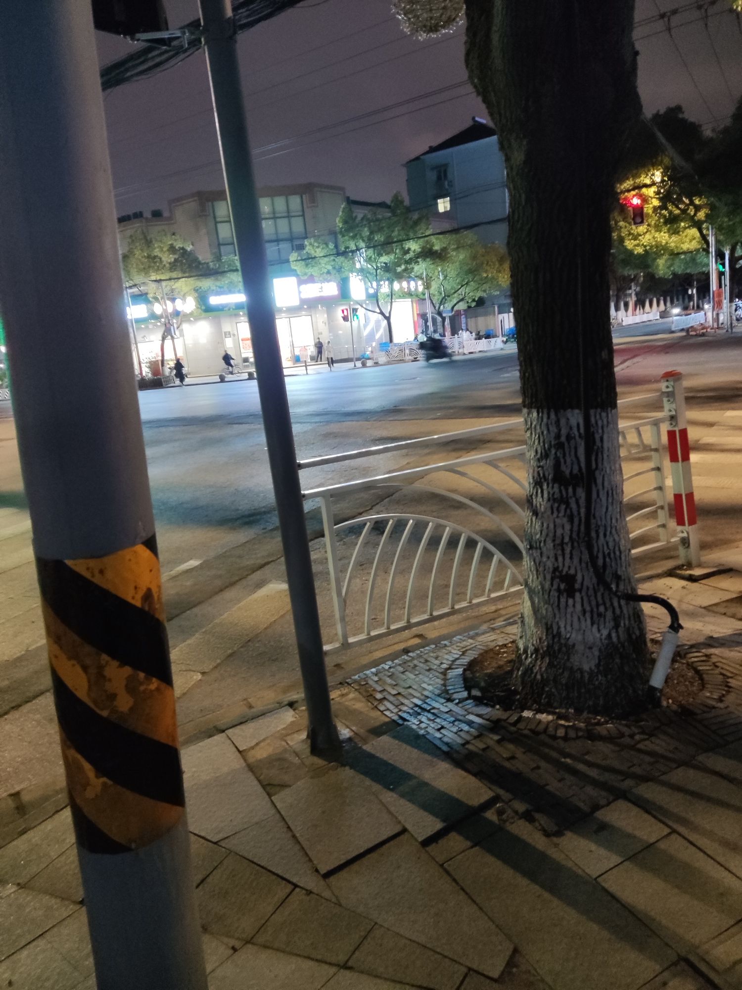 古美科普公园旅行图片 3