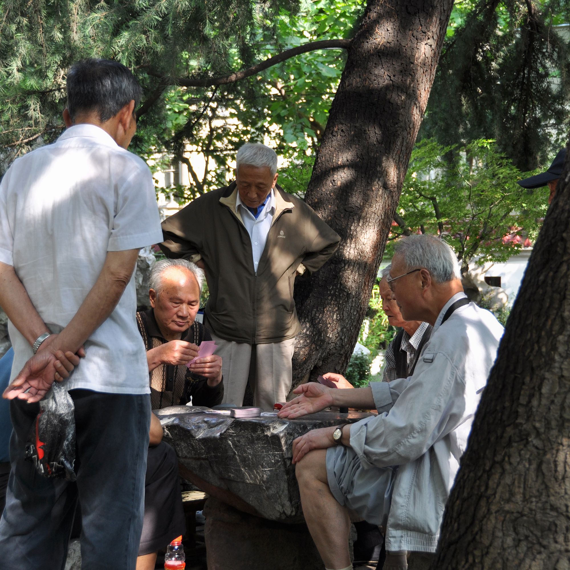 绍兴公园旅行图片 3