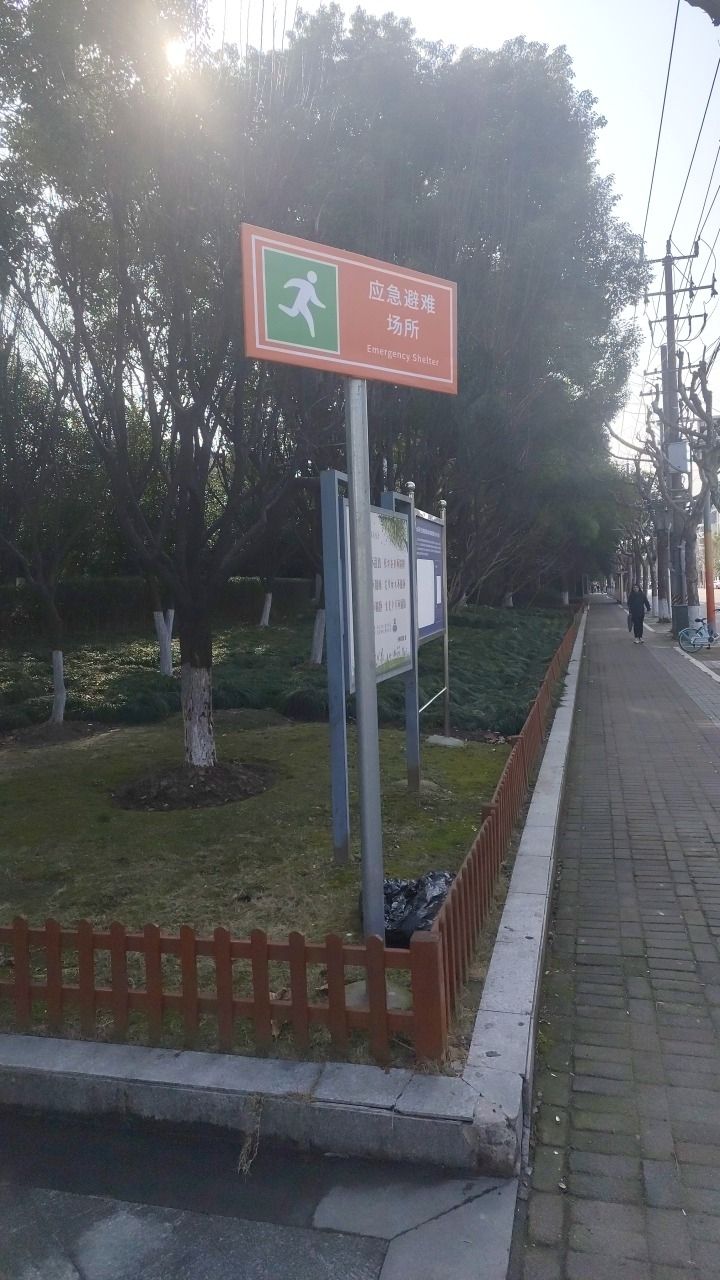 平阳双拥公园旅行图片 3