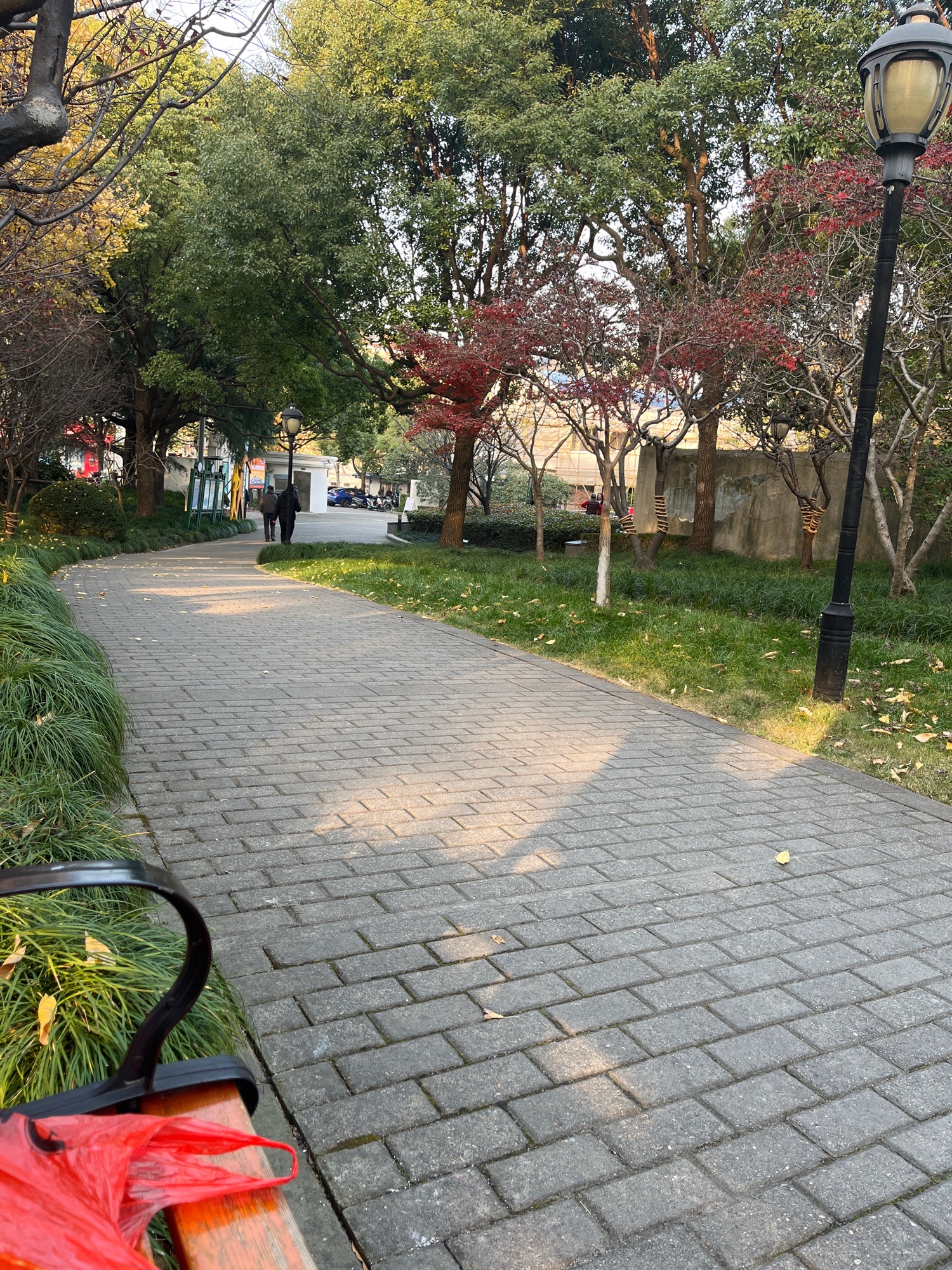 上南公园旅行图片 1