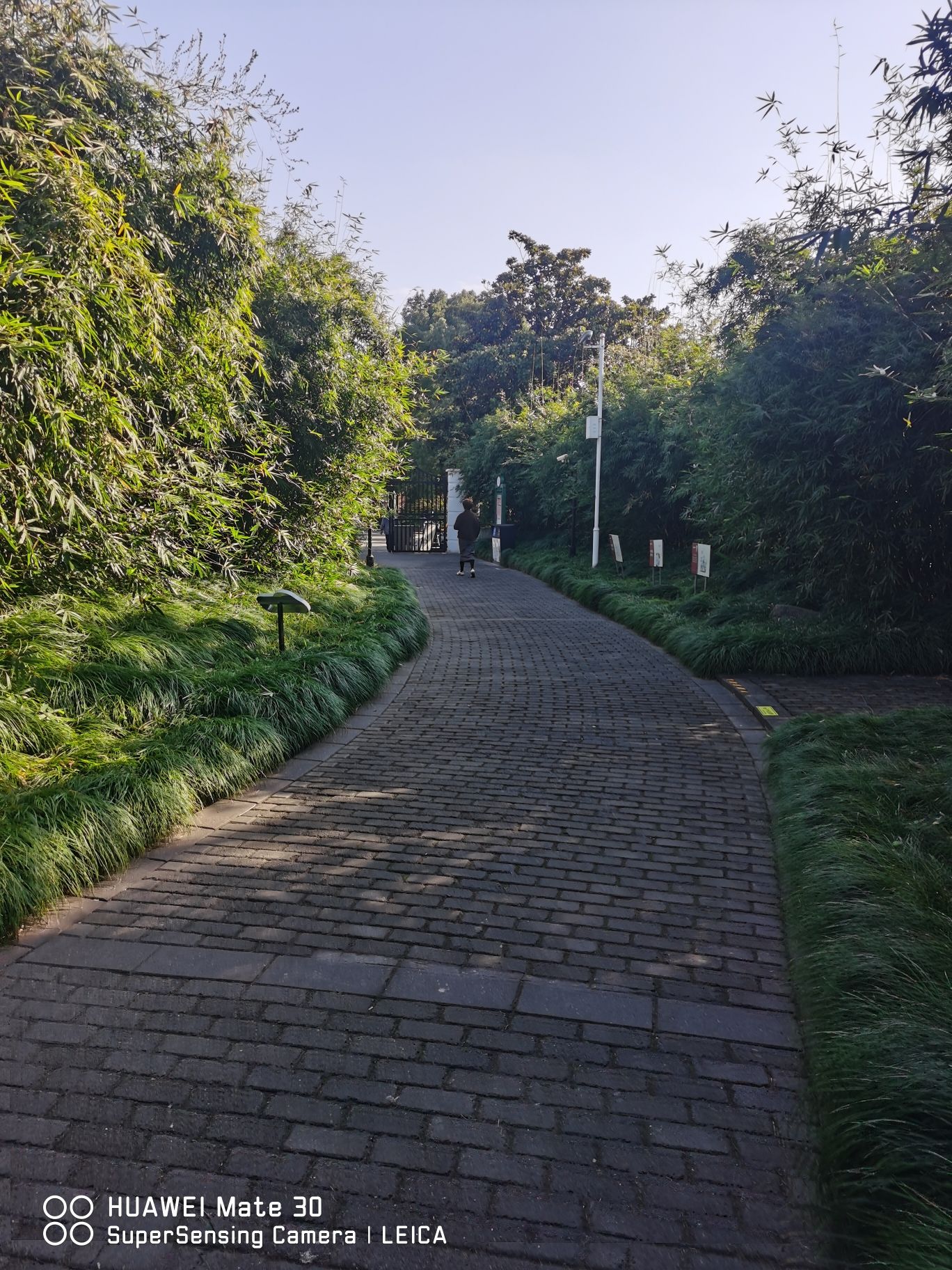 上南公园旅行图片 2