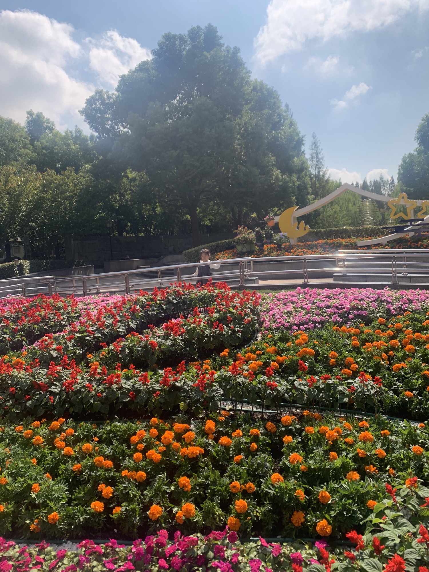 上南公园旅行图片 1