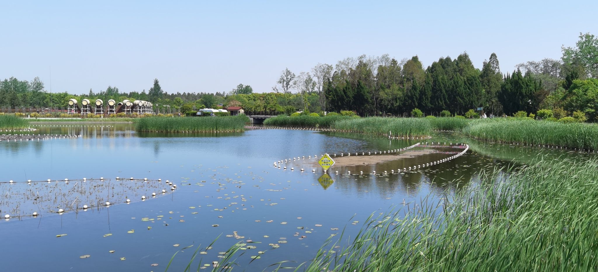 东平国家森林公园旅行图片 3