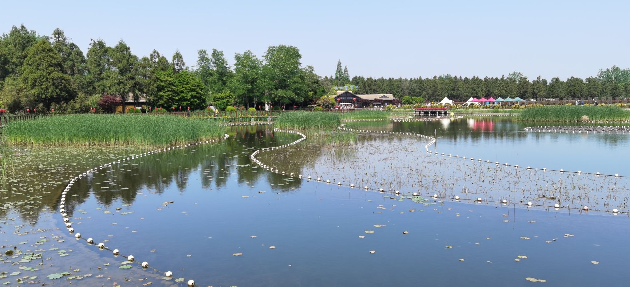 东平国家森林公园旅行图片 2