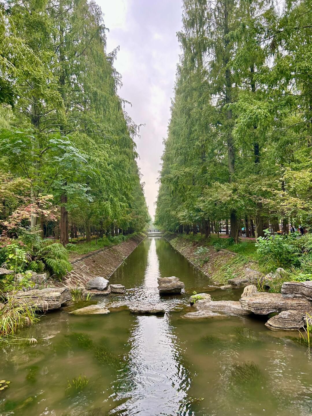 东平国家森林公园旅行图片 2
