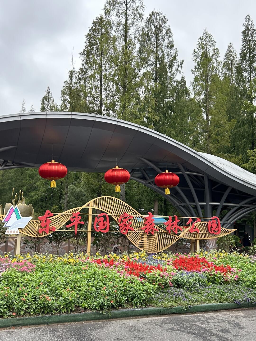 东平国家森林公园旅行图片 3