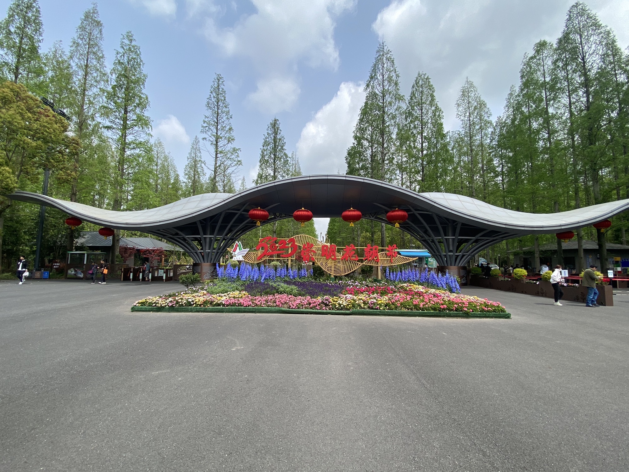 东平国家森林公园旅行图片 3