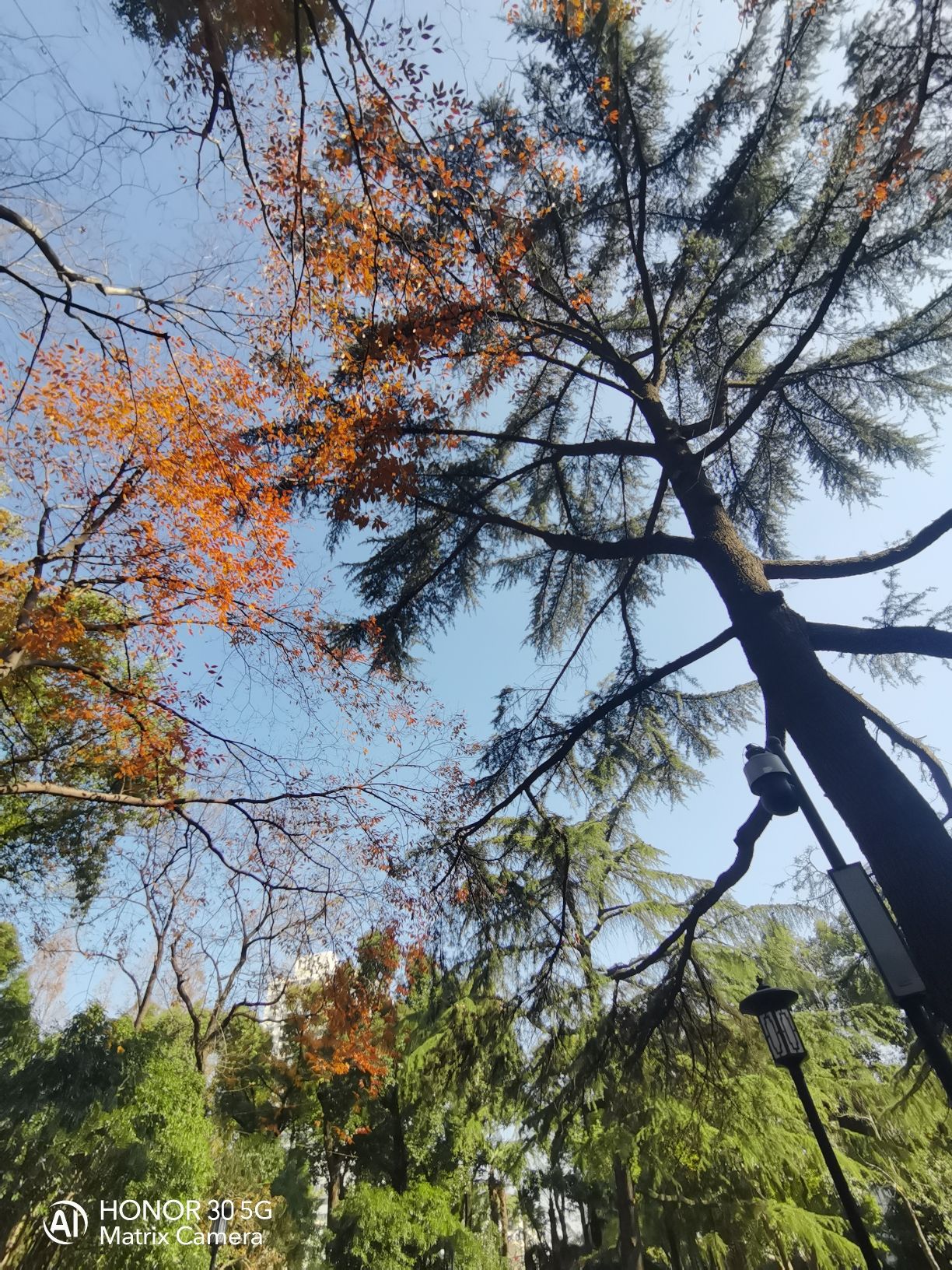 东安公园旅行图片 2
