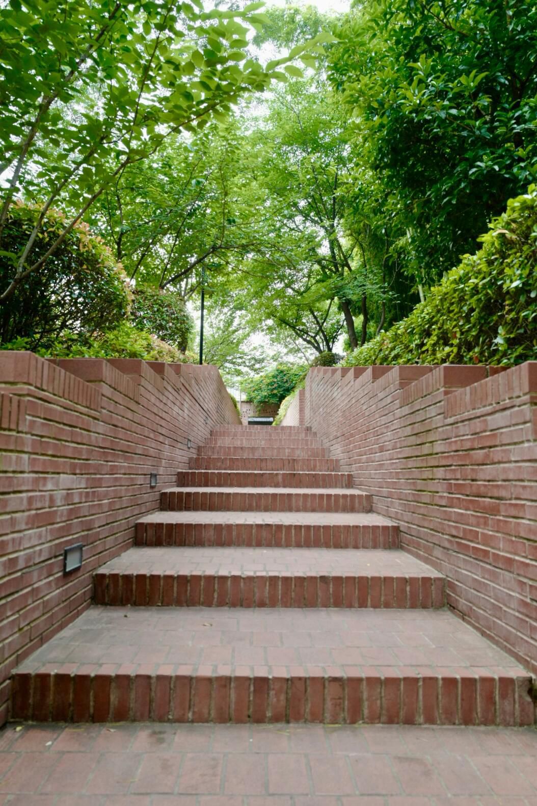 四川北路公园旅行图片 2