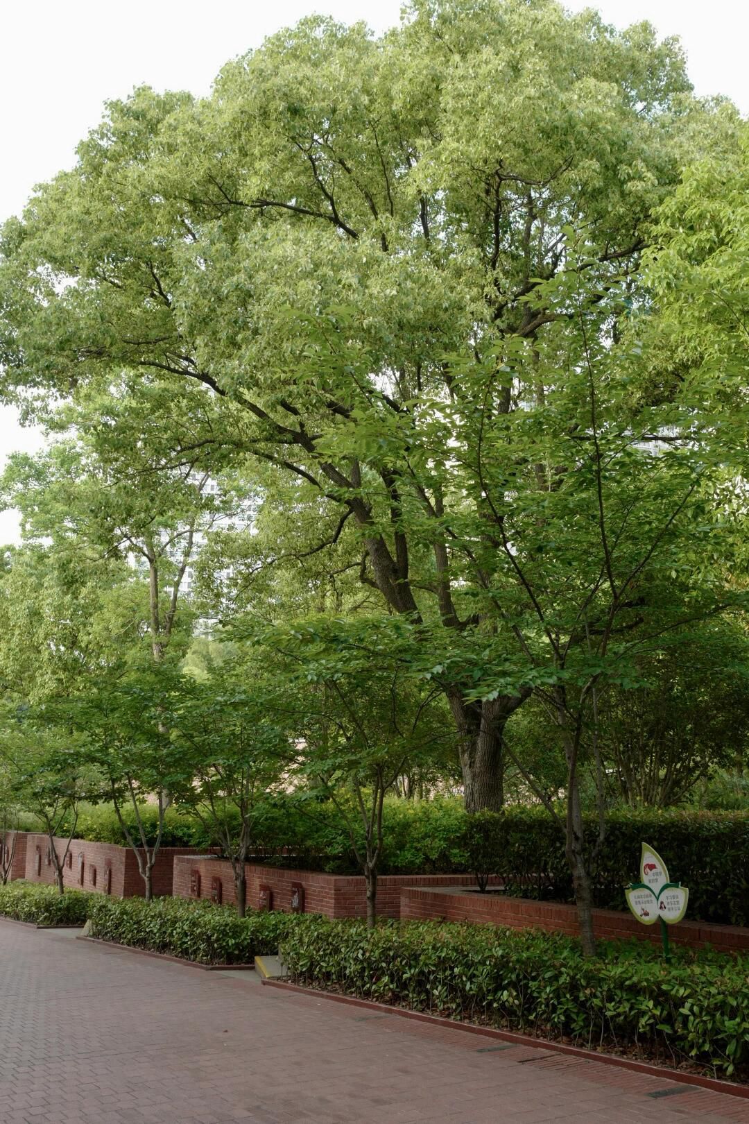四川北路公园旅行图片 3