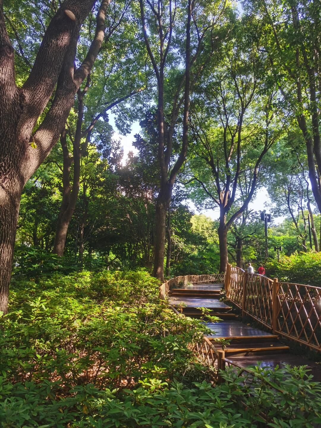 四川北路公园旅行图片 1