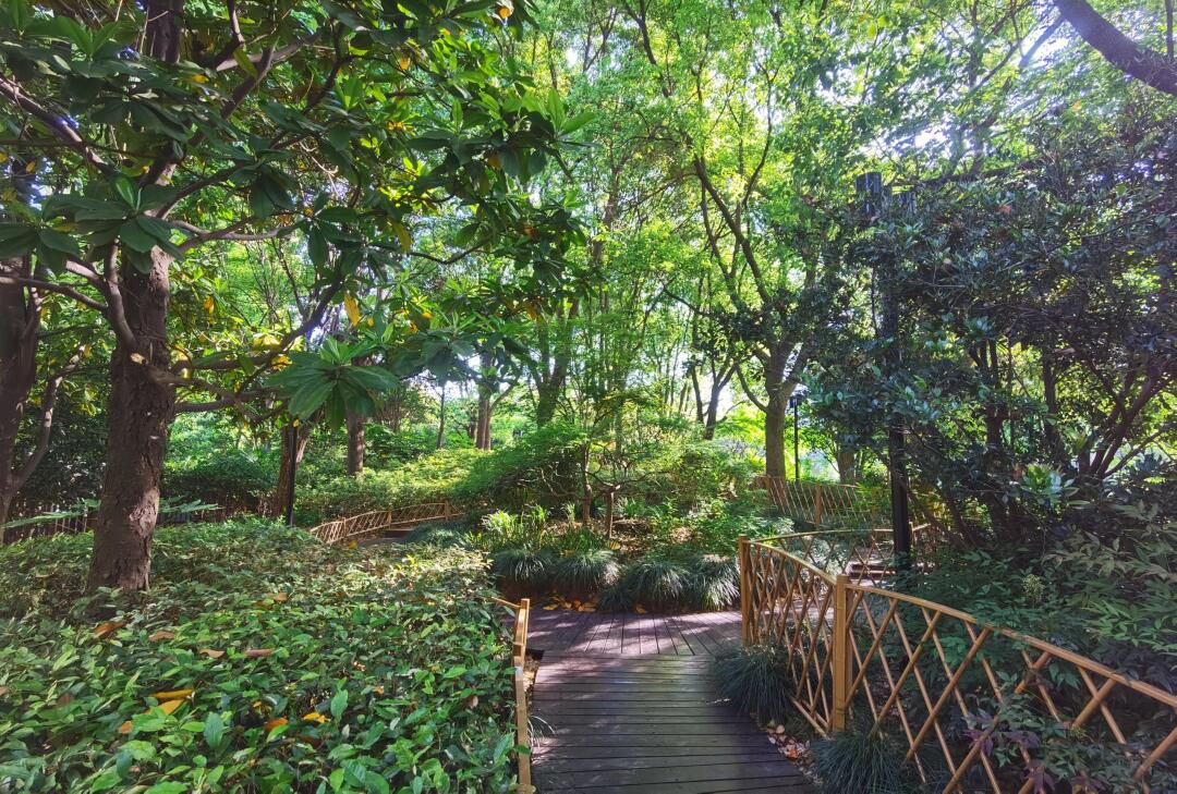 四川北路公园旅行图片 2