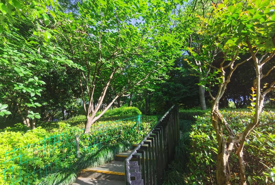 四川北路公园旅行图片 1