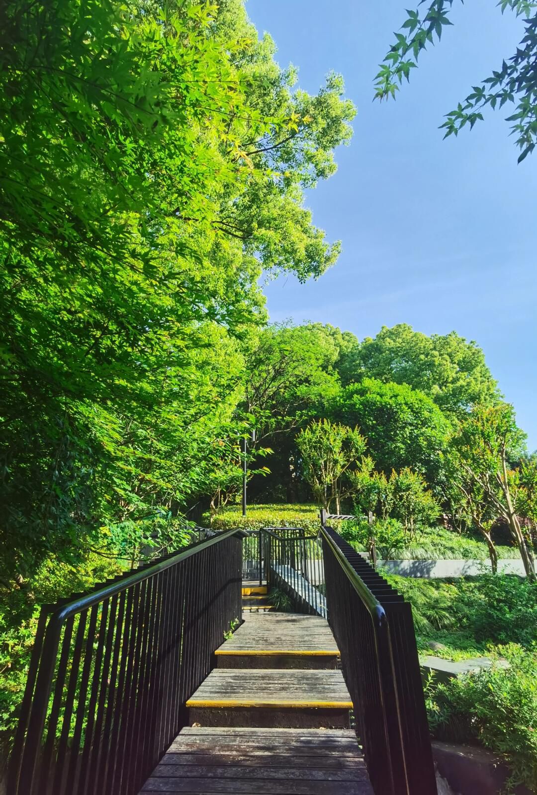 四川北路公园旅行图片 1