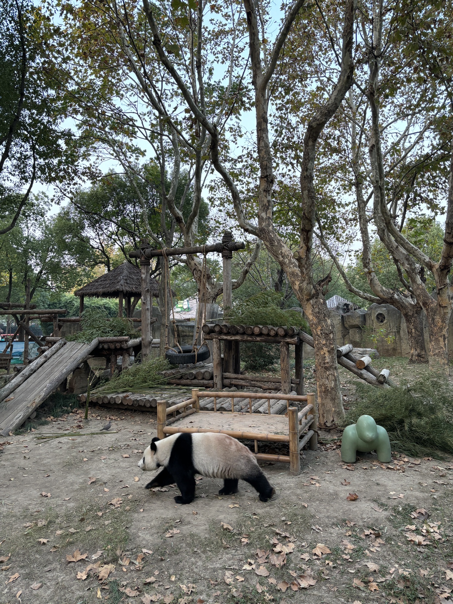 上海野生动物园旅行图片 1