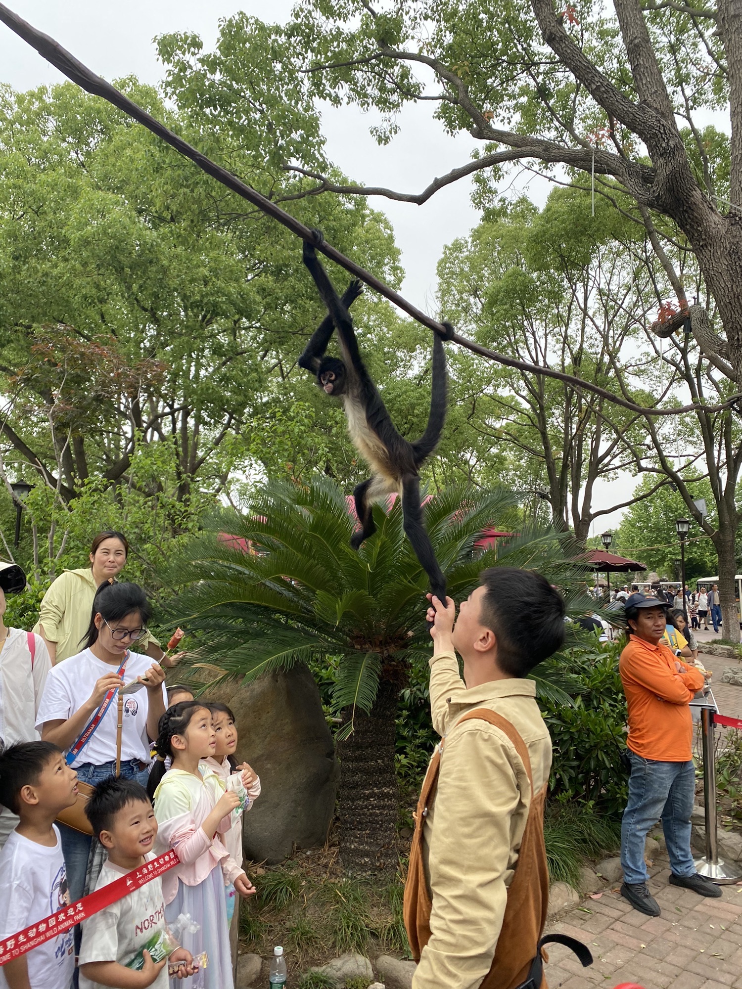 上海野生动物园旅行图片 2