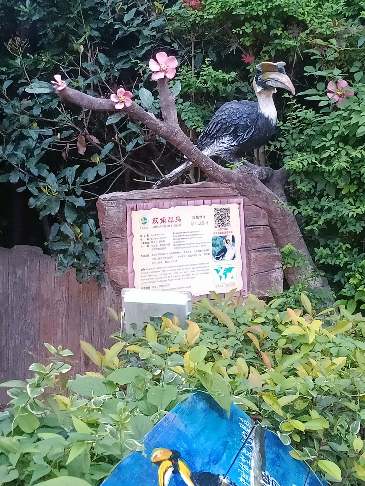 上海野生动物园旅行图片 2
