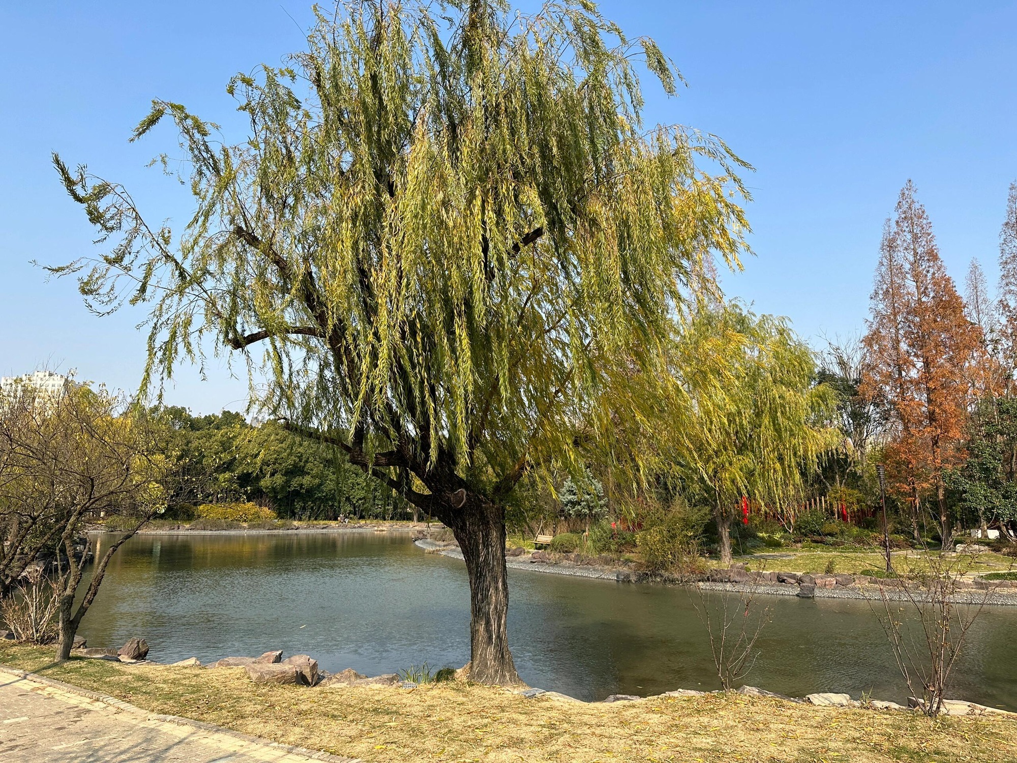 思贤公园旅行图片 1