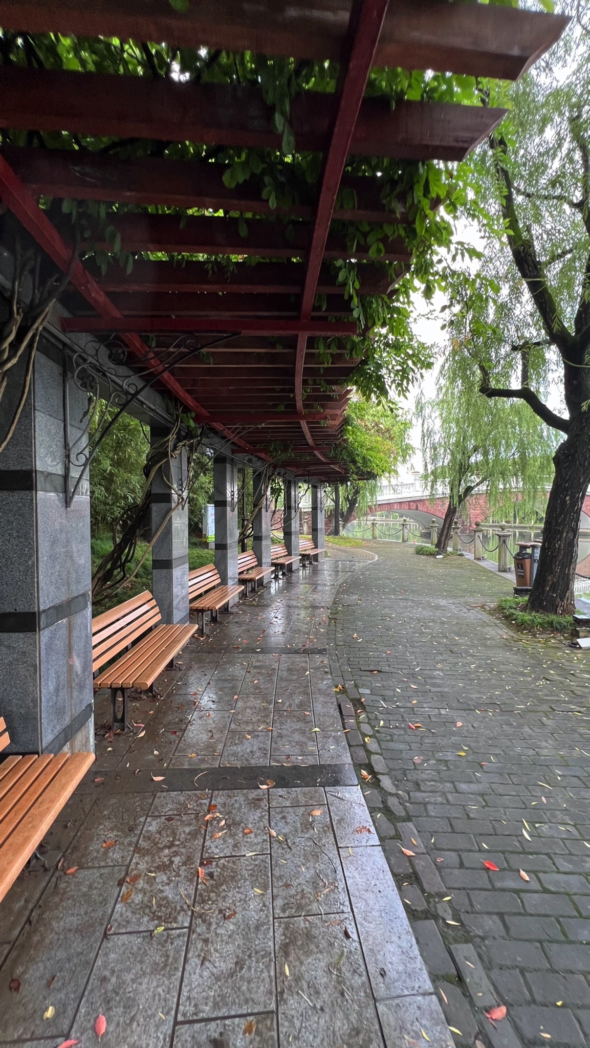思贤公园旅行图片 2
