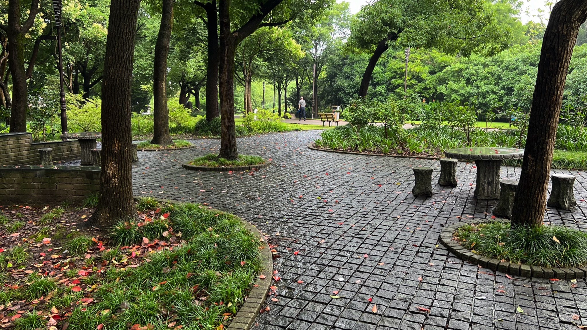 思贤公园旅行图片 3