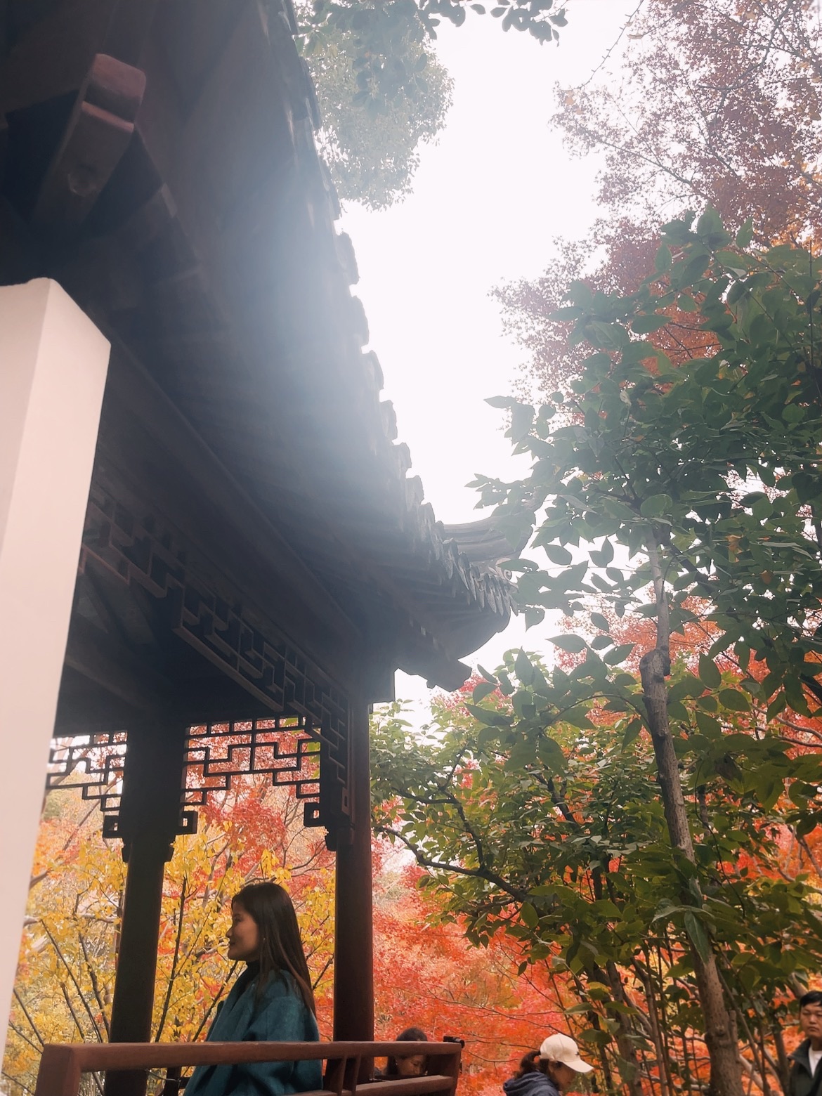 秋霞圃旅行图片 3