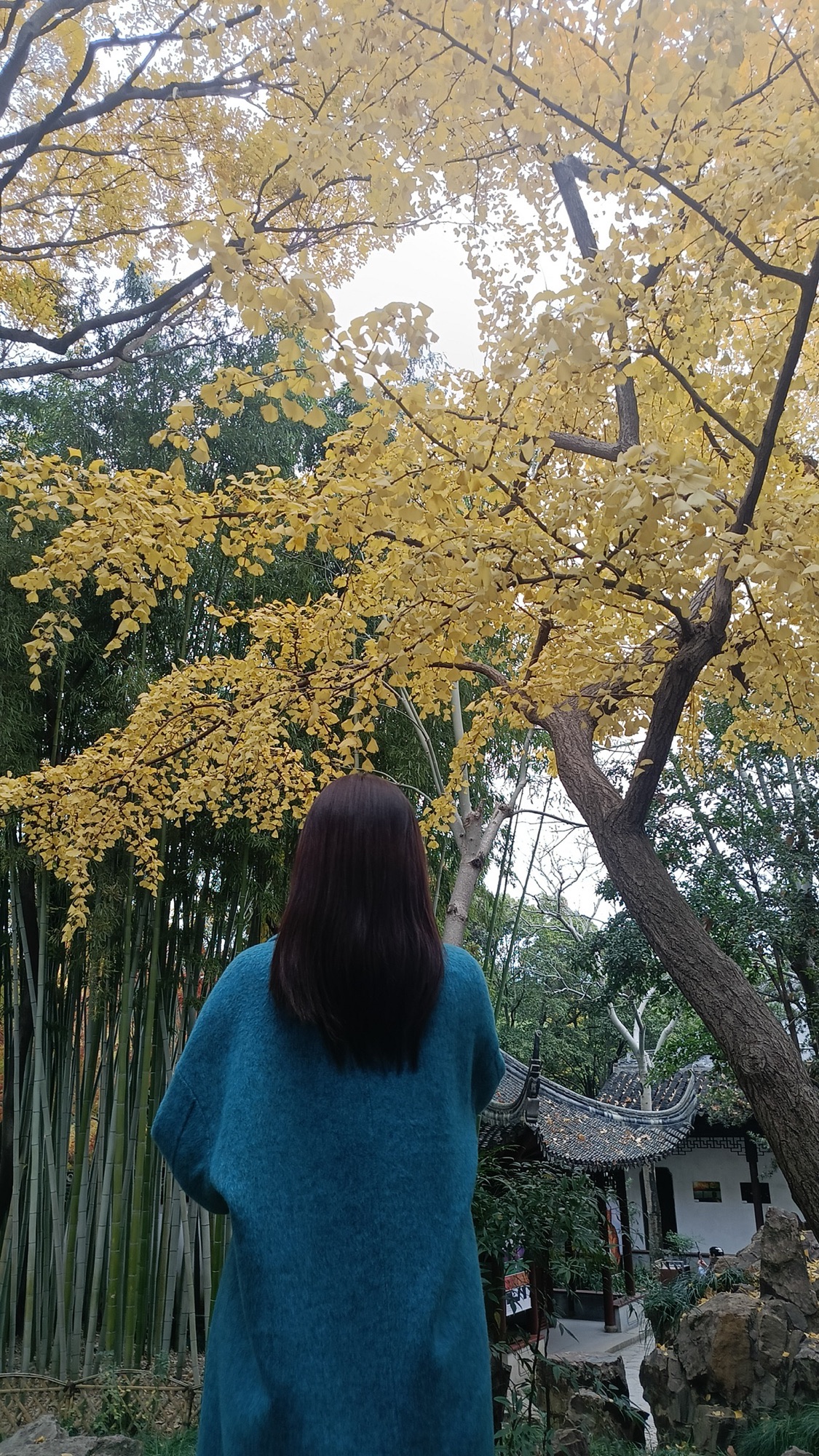 秋霞圃旅行图片 1