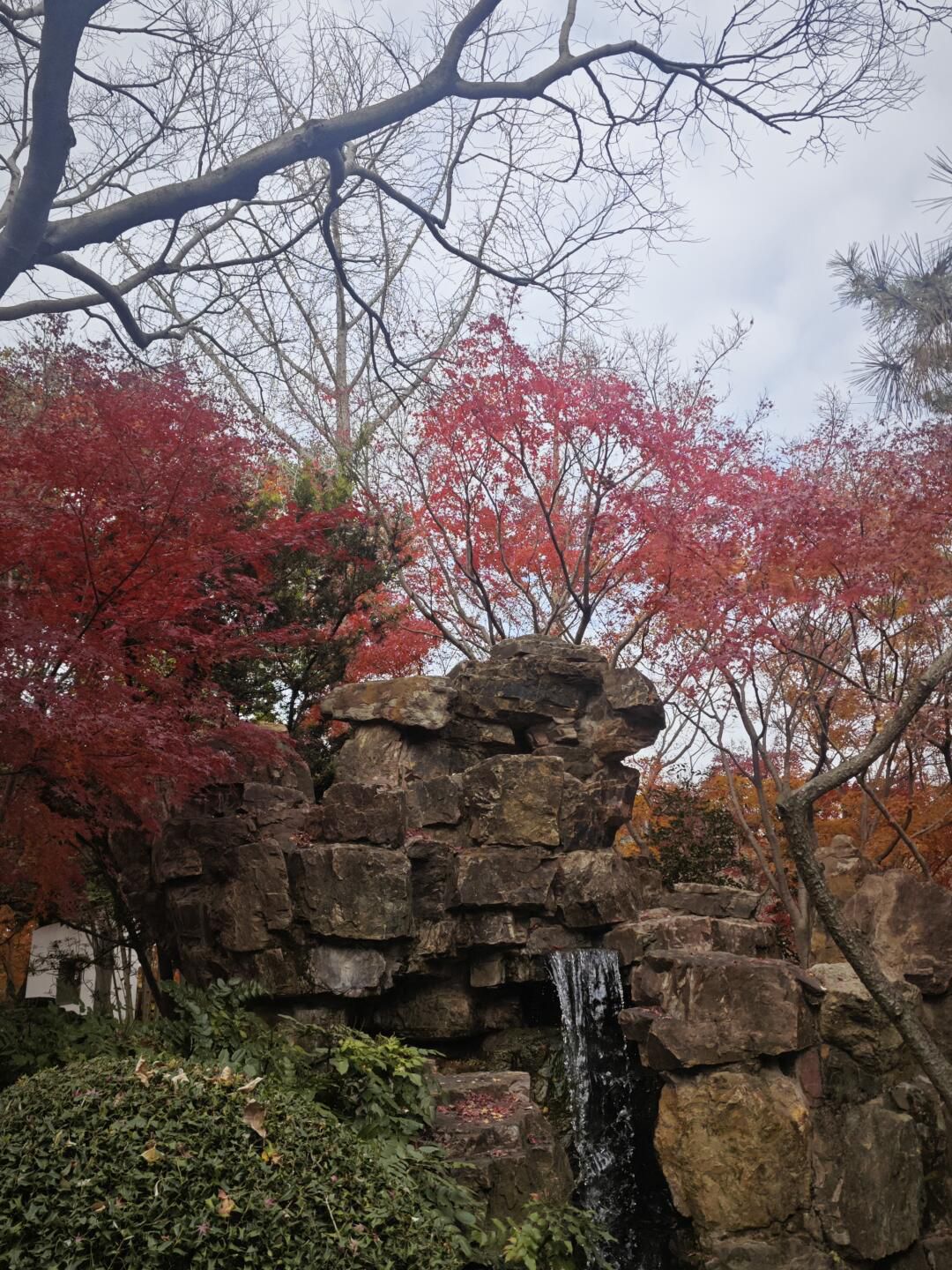 秋霞圃旅行图片 2