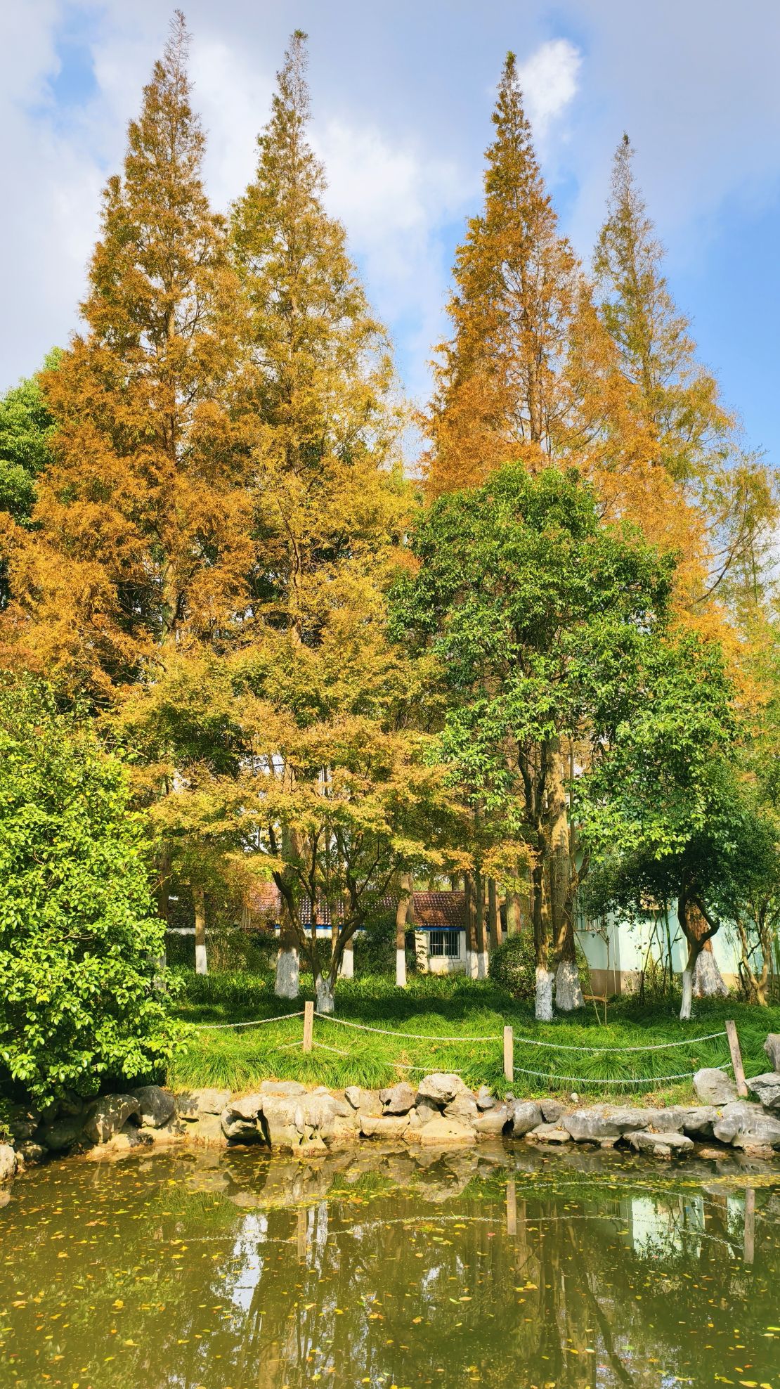 瀛洲公园旅行图片 1