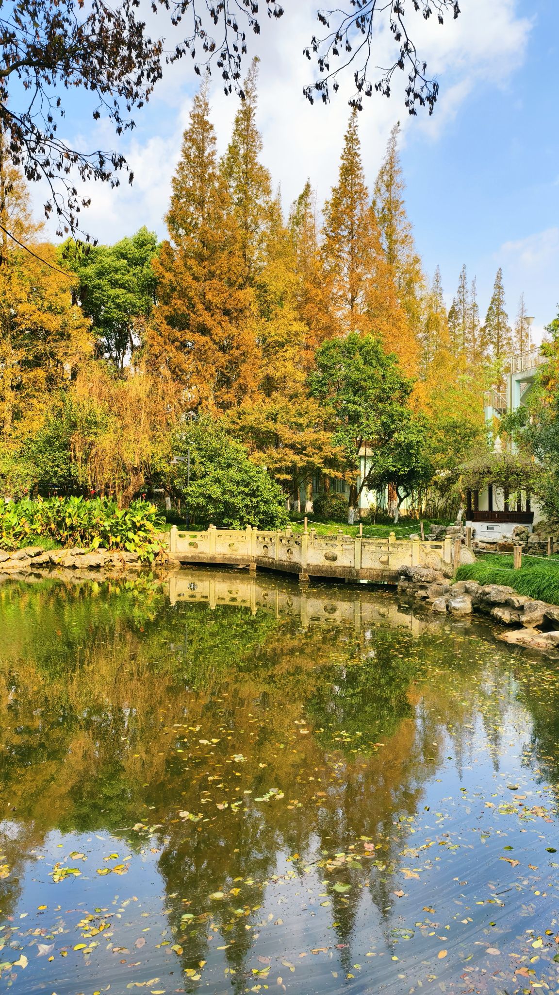 瀛洲公园旅行图片 3