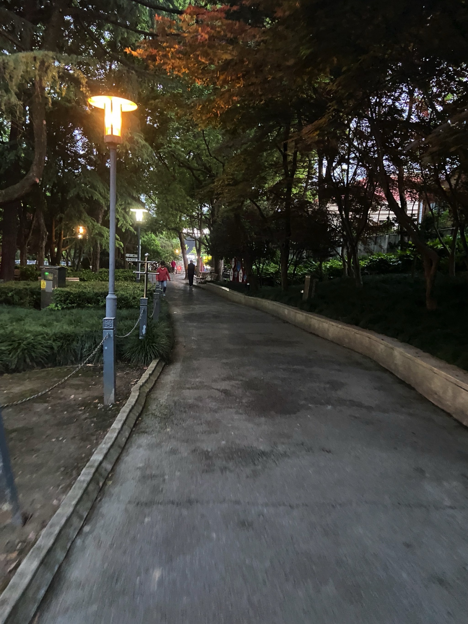 水霞公园旅行图片 1