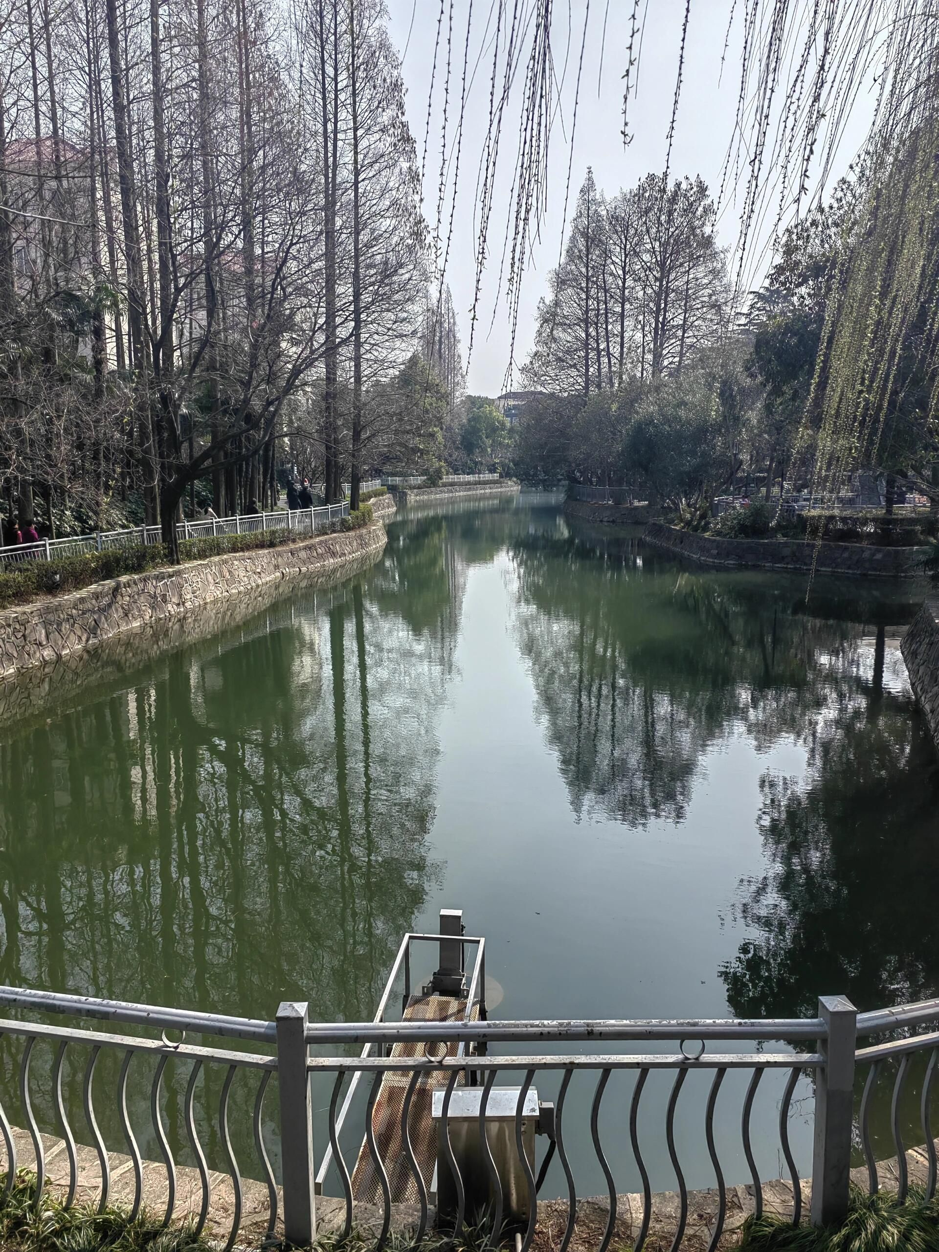 水霞公园旅行图片 1