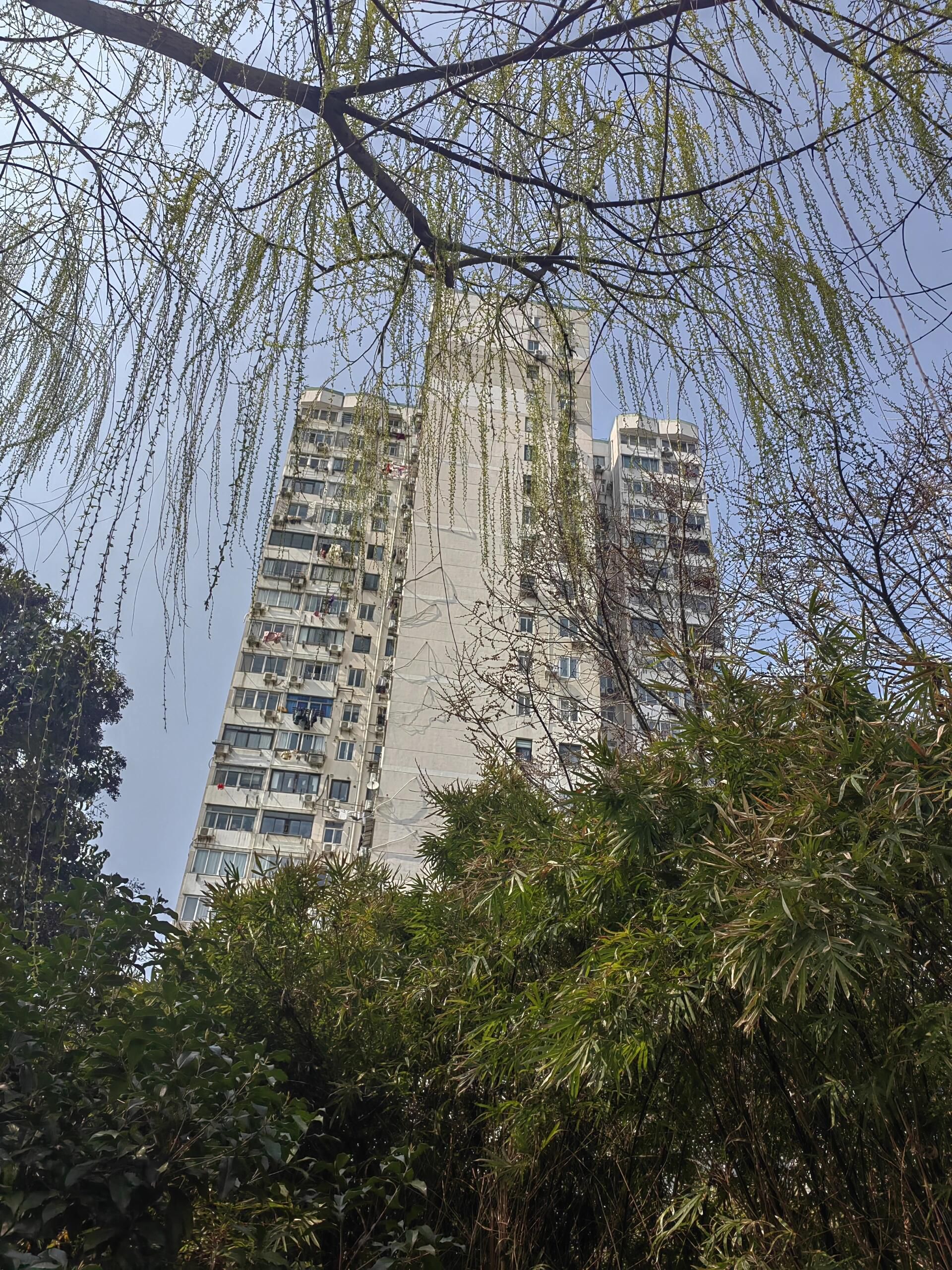 水霞公园旅行图片 3