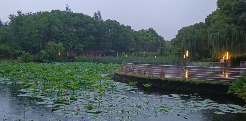 诸翟公园旅行图片 1