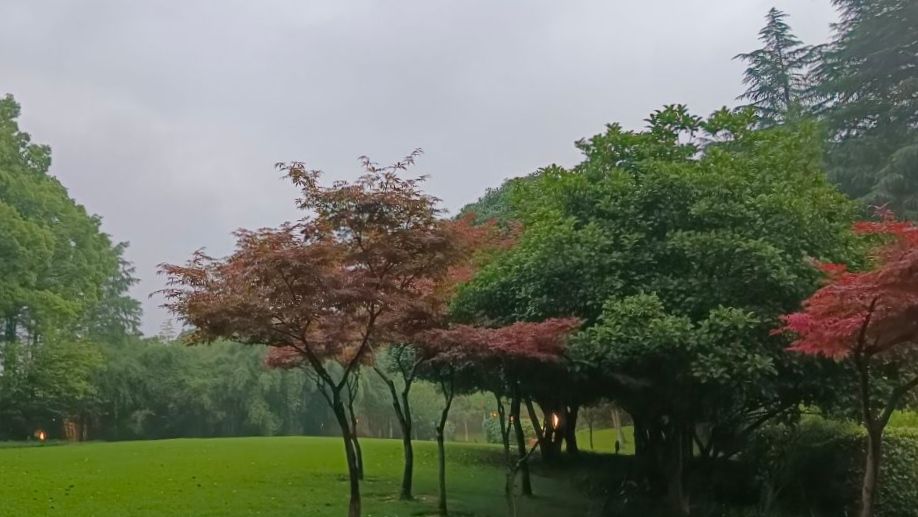 诸翟公园旅行图片 2