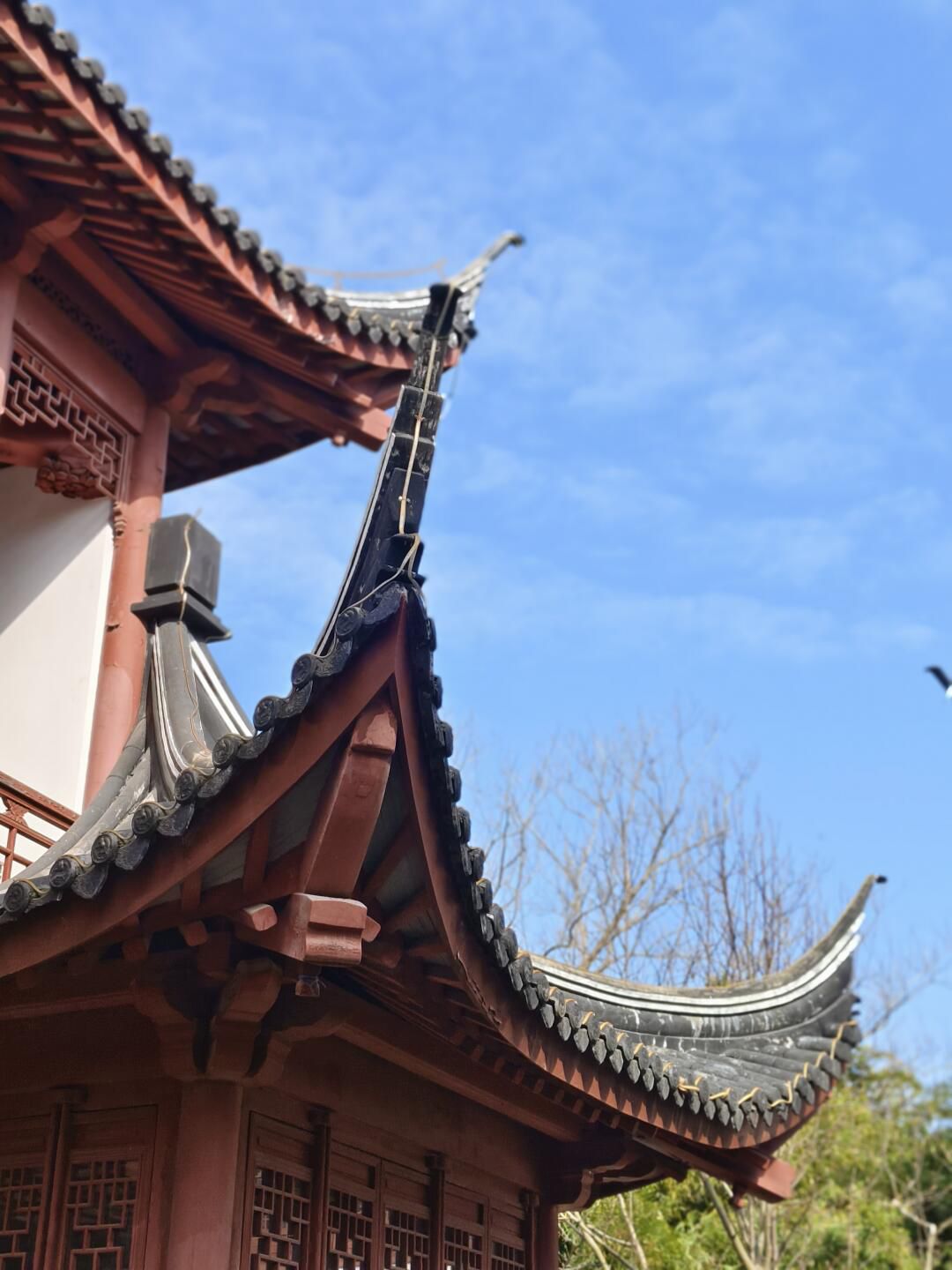 古华园旅行图片 1