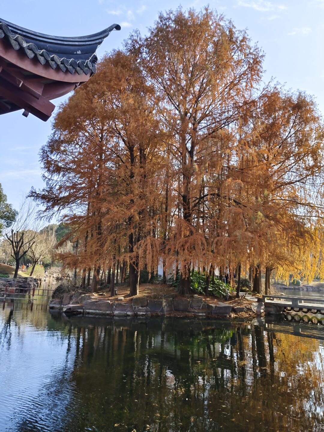古华园旅行图片 2