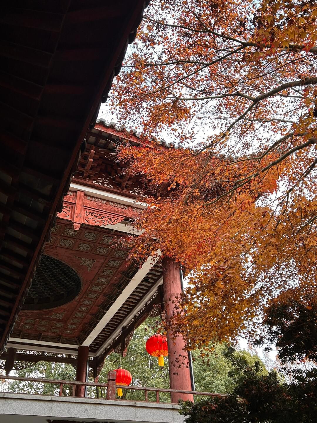 古华园旅行图片 1