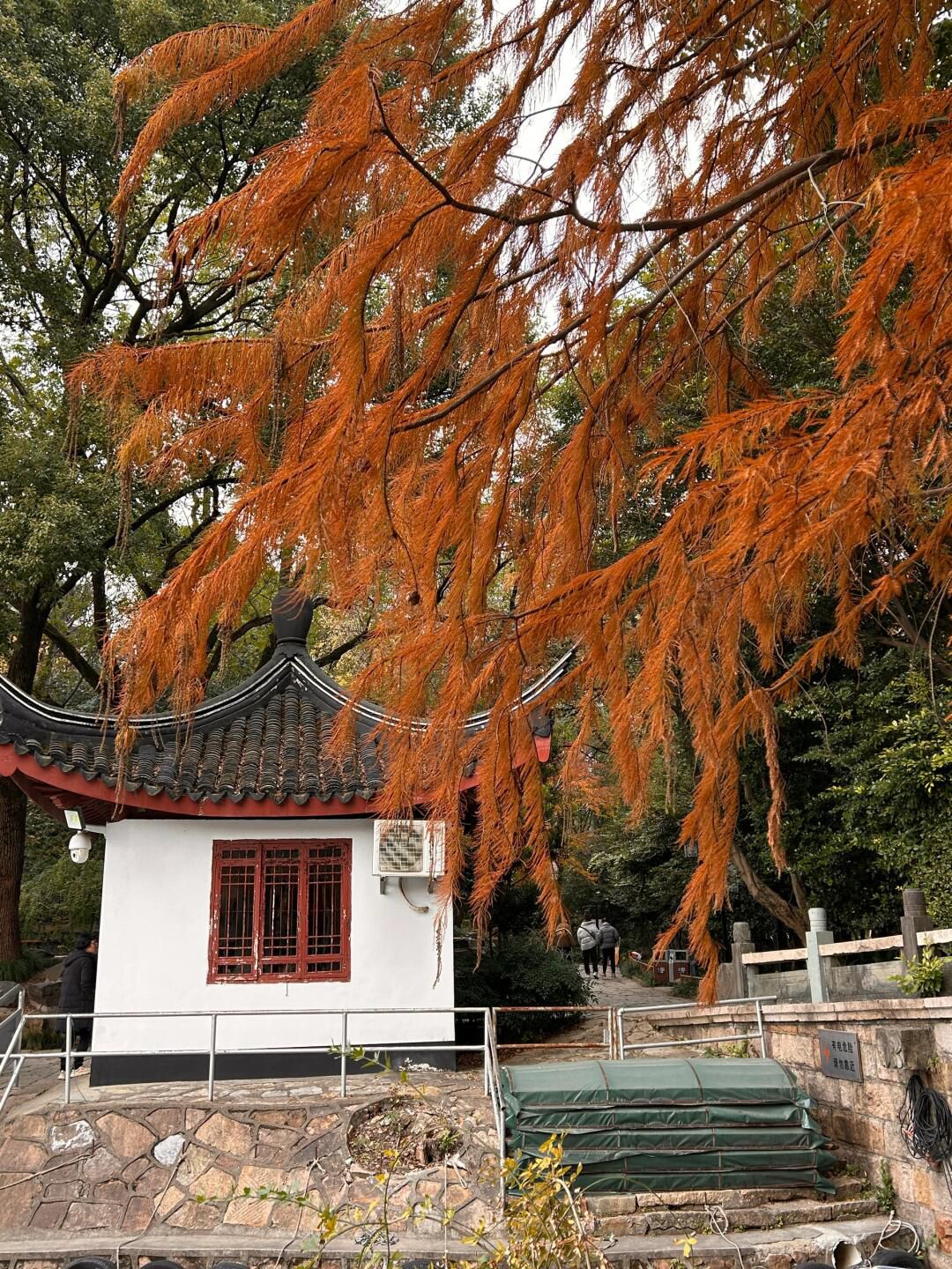 古华园旅行图片 3