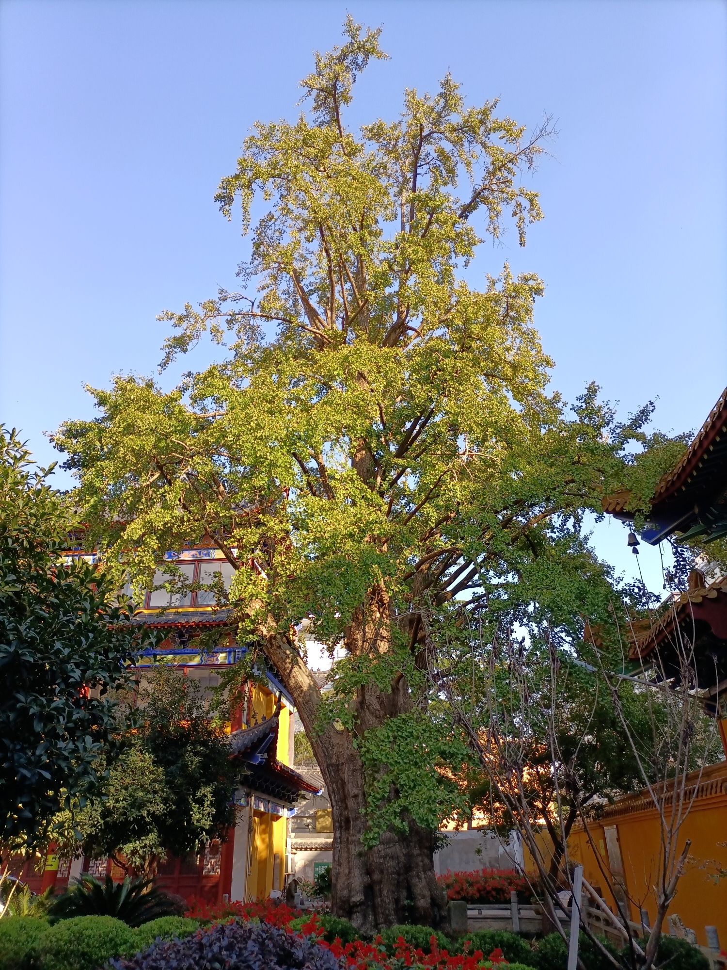 福泉古寺