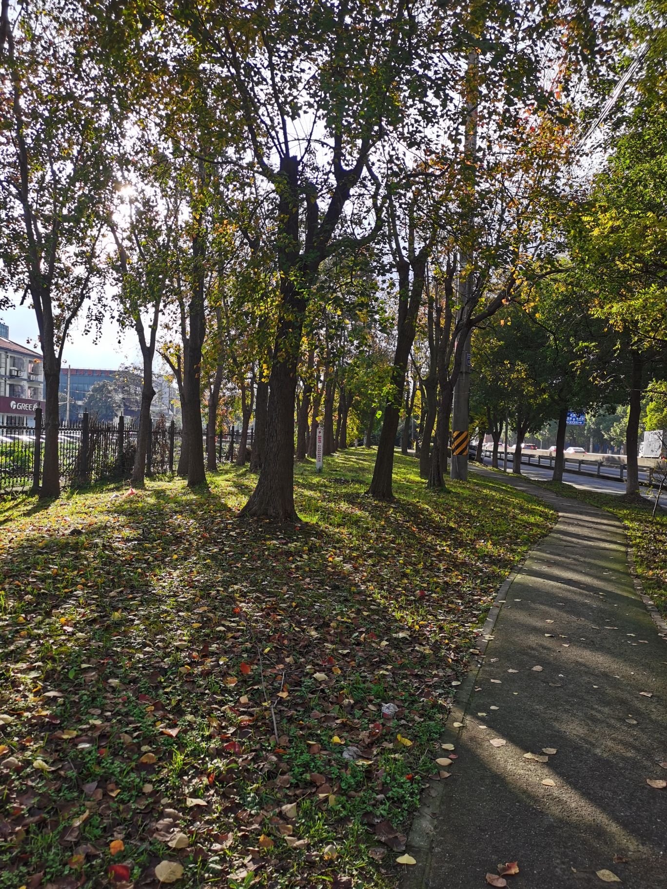 马陆公园旅行图片 1
