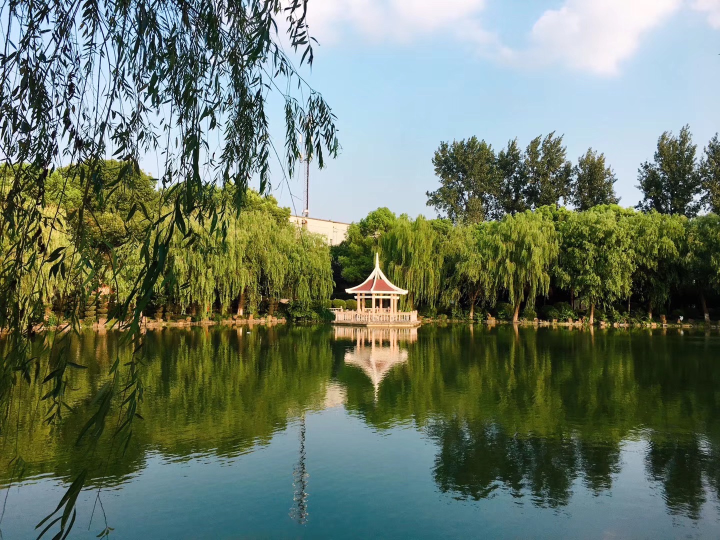 马陆公园旅行图片 1