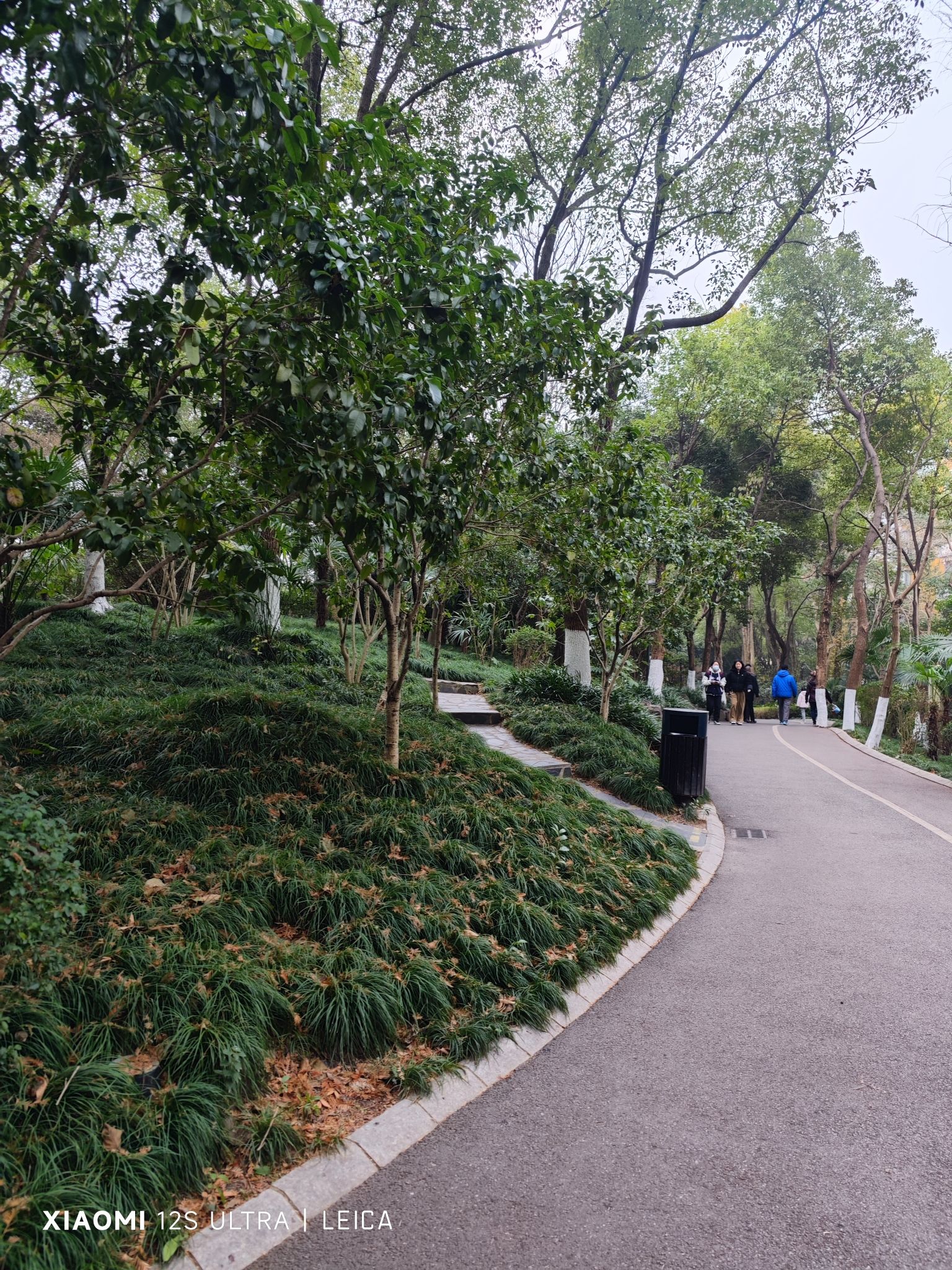 大华行知公园旅行图片 1