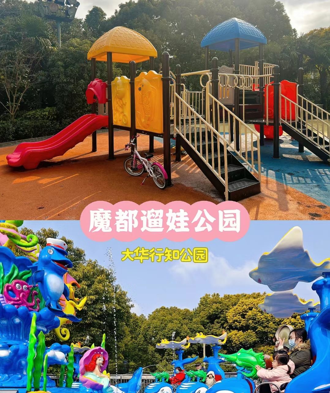 大华行知公园旅行图片 2