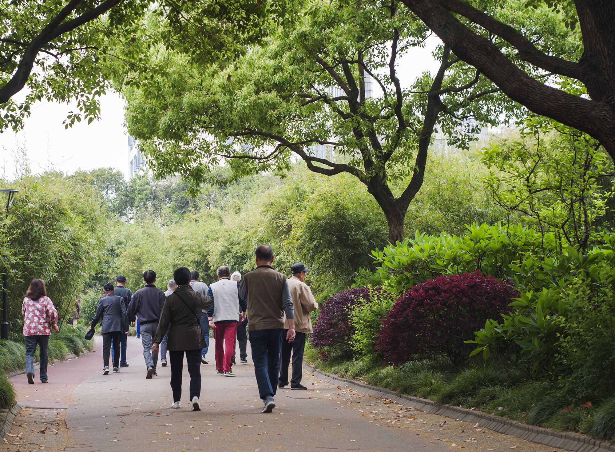 甘泉公园旅行图片 2