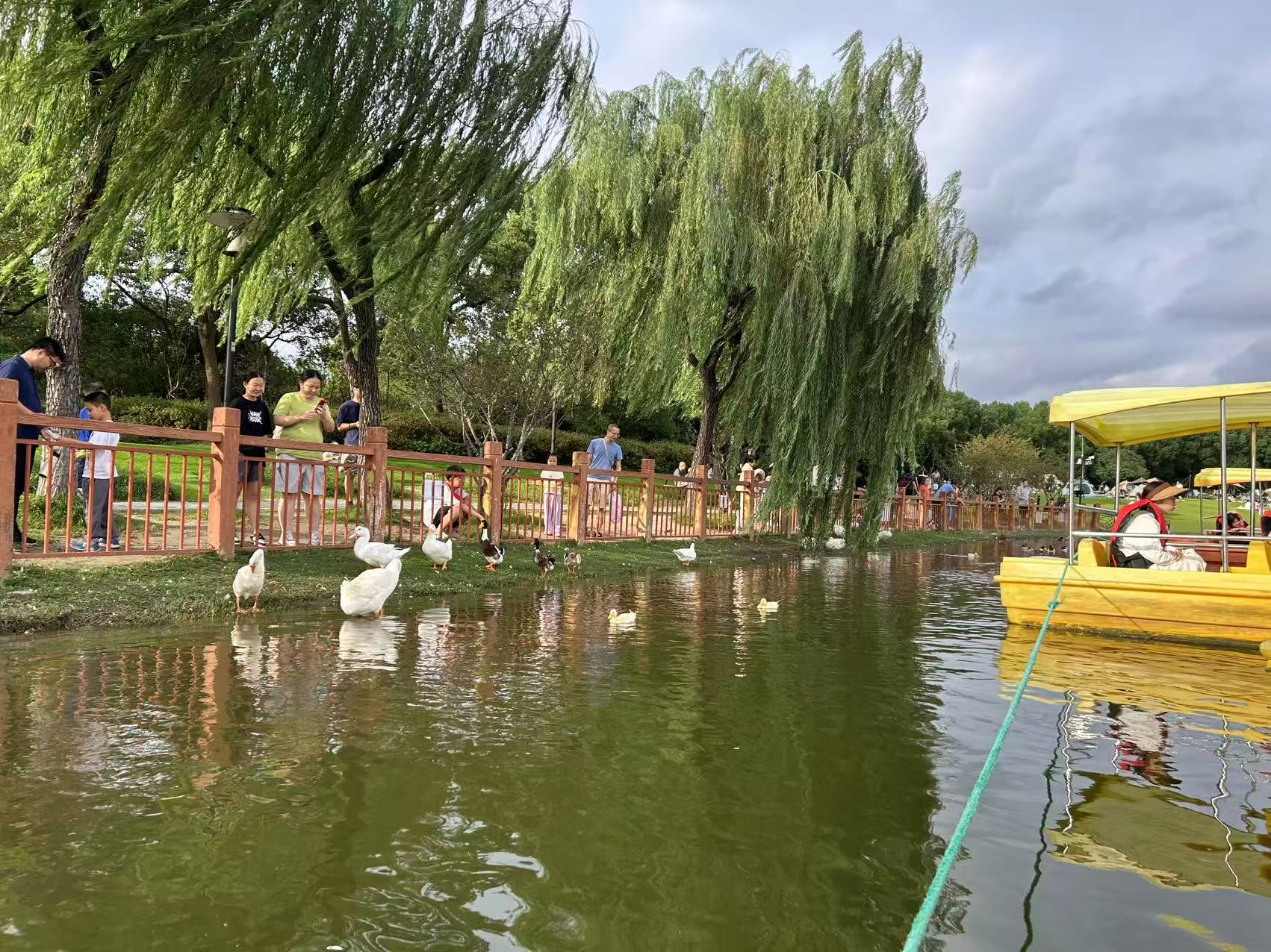 黄兴公园旅行图片 1